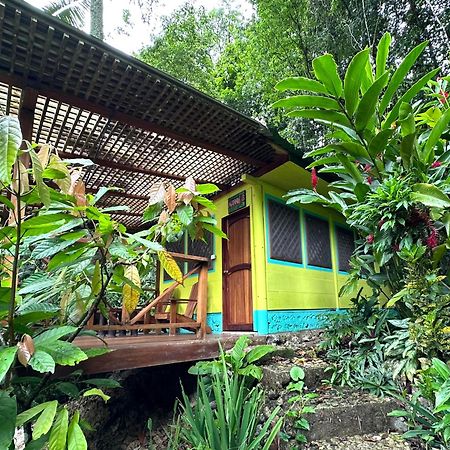 Palmeras Del Rio Hotel La Vina Extérieur photo