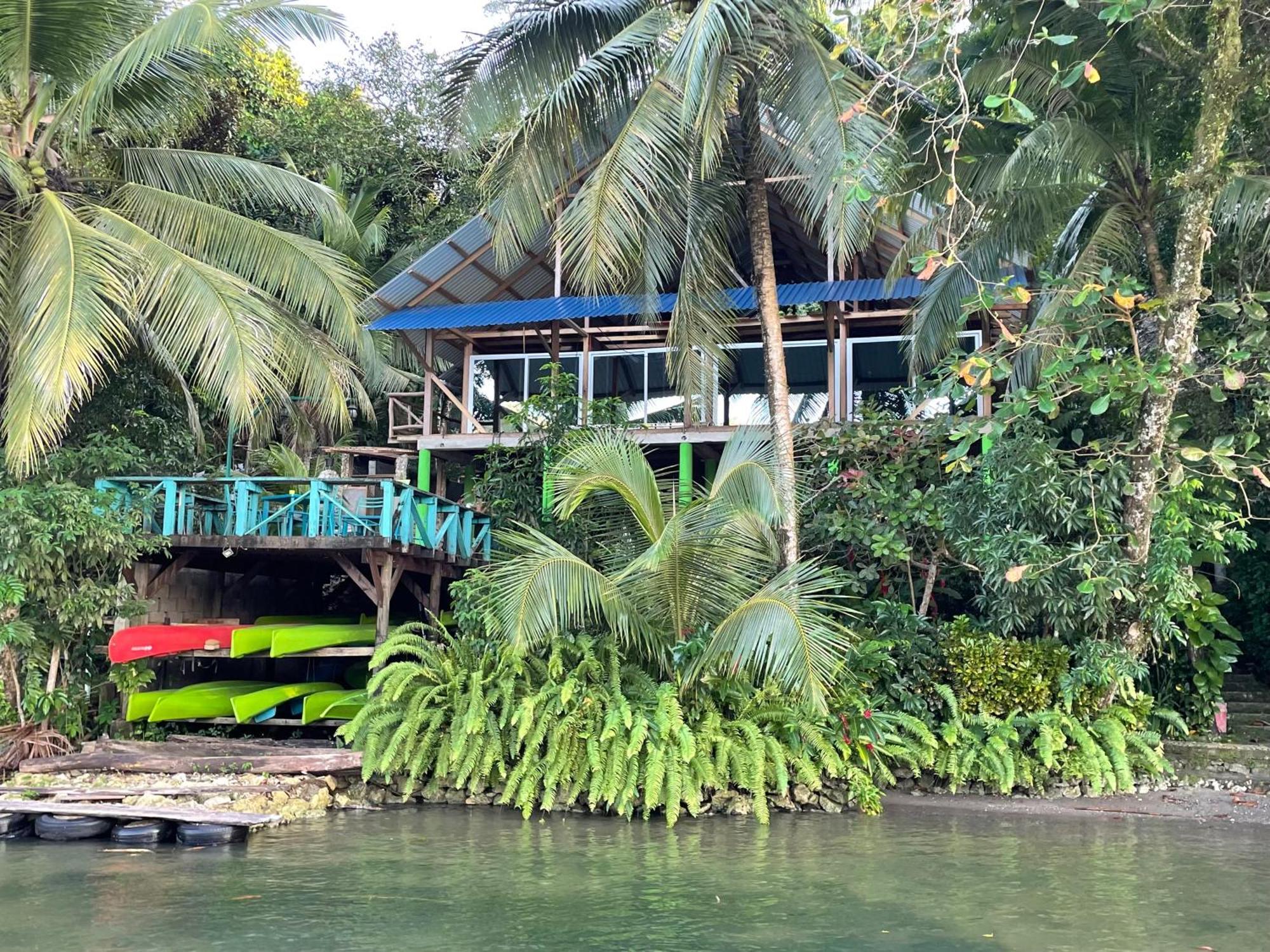 Palmeras Del Rio Hotel La Vina Extérieur photo