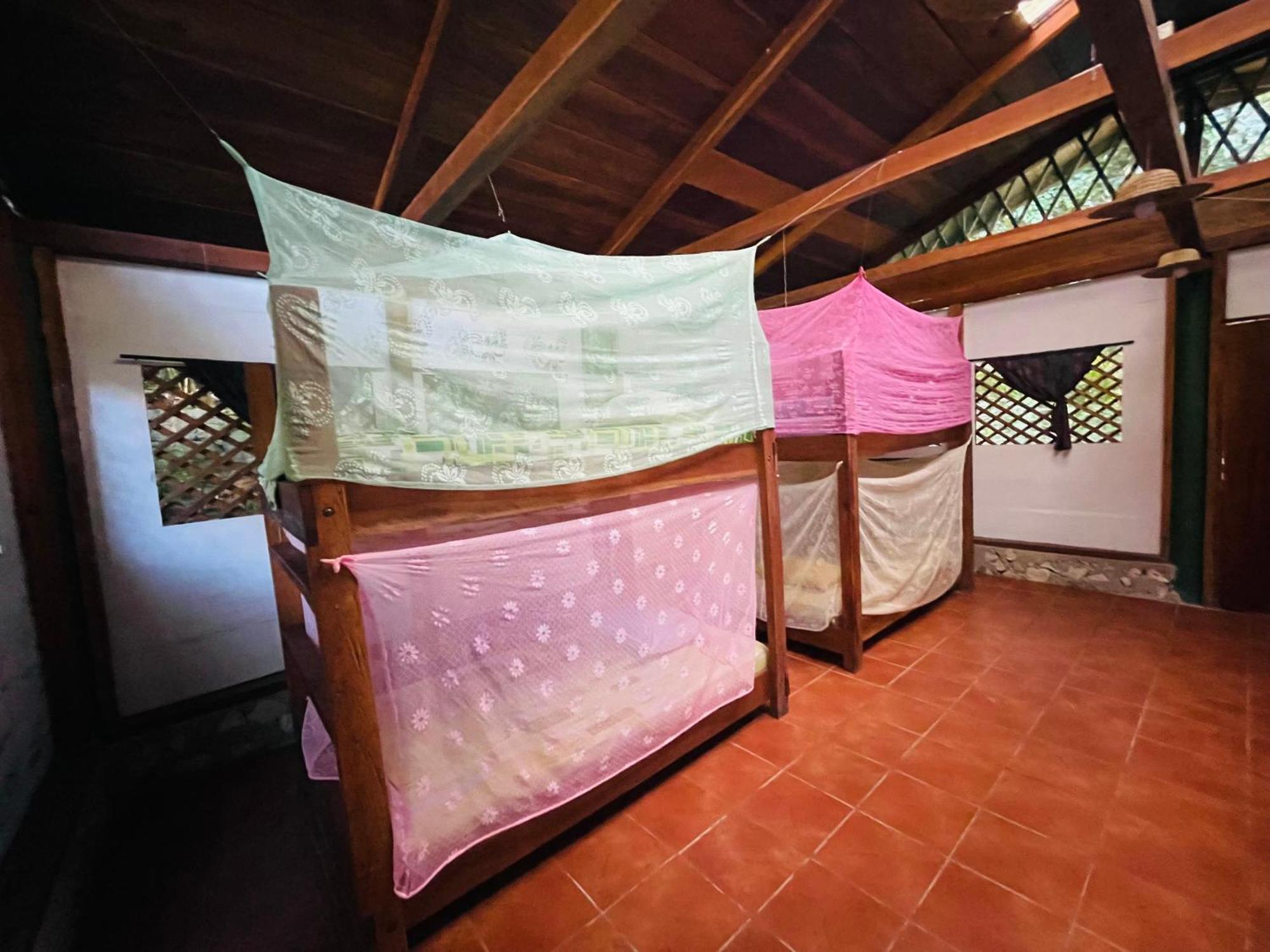Palmeras Del Rio Hotel La Vina Extérieur photo