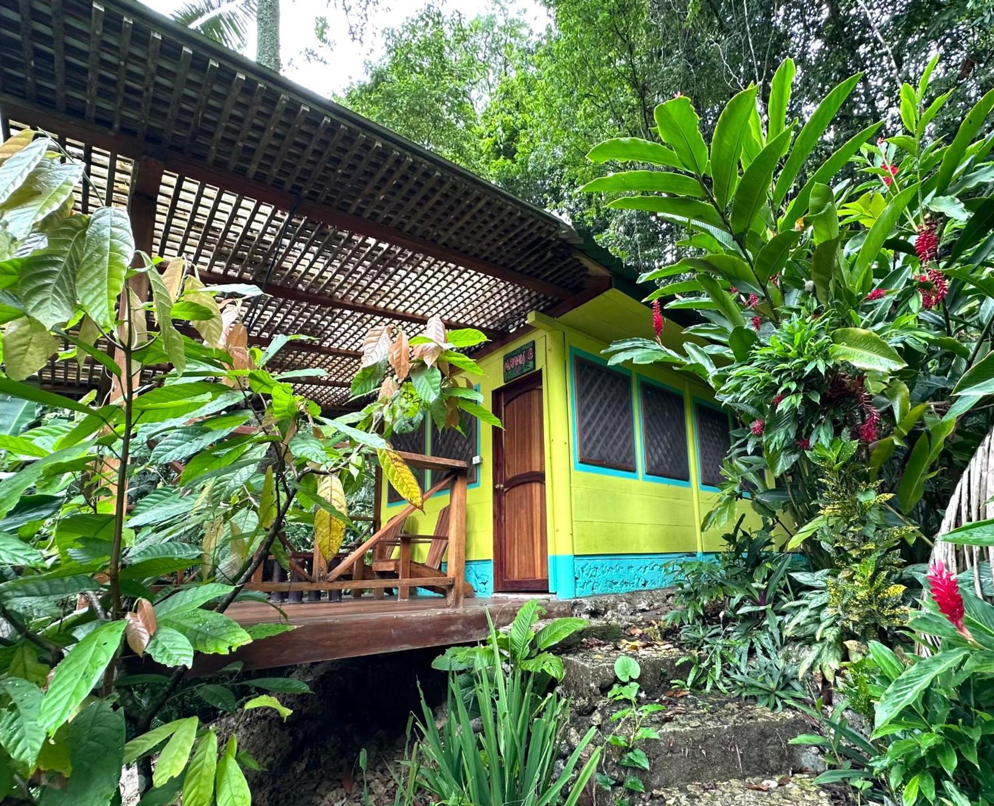 Palmeras Del Rio Hotel La Vina Extérieur photo