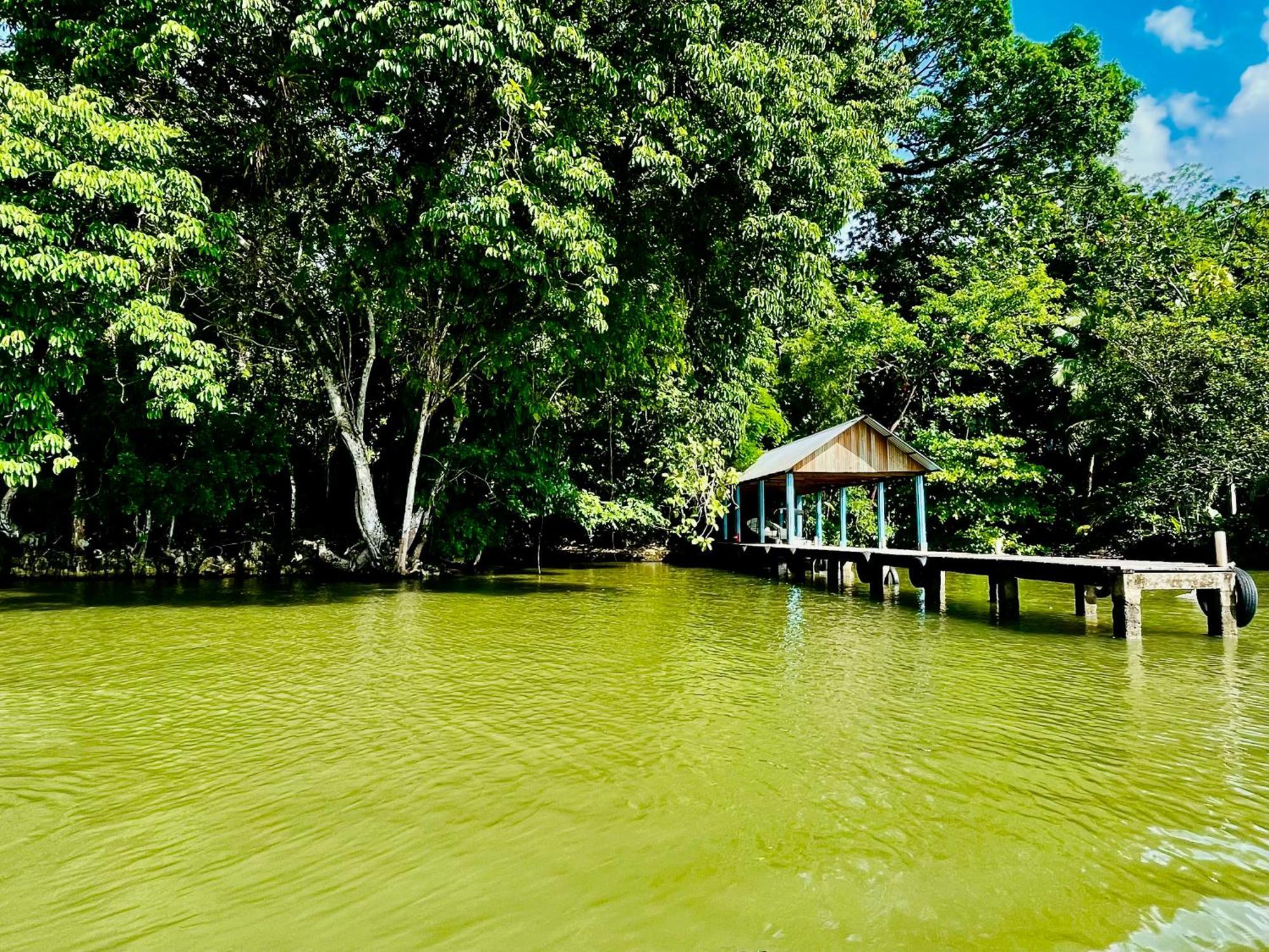 Palmeras Del Rio Hotel La Vina Extérieur photo
