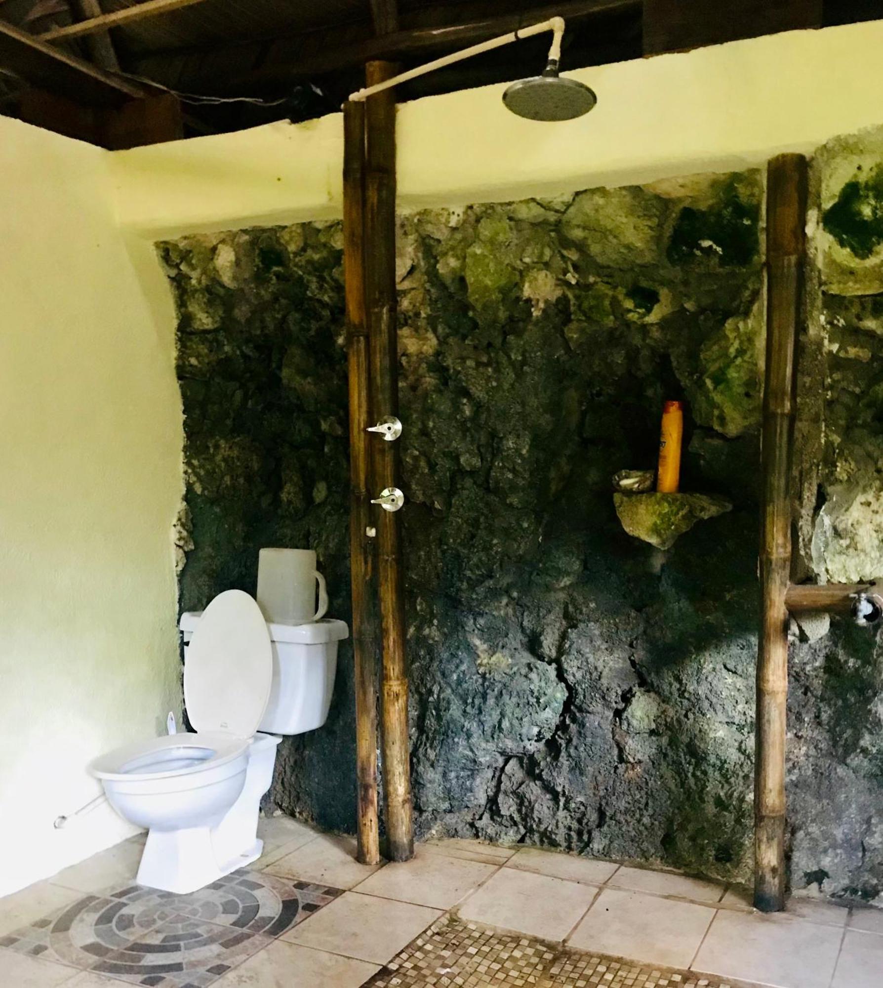 Palmeras Del Rio Hotel La Vina Extérieur photo
