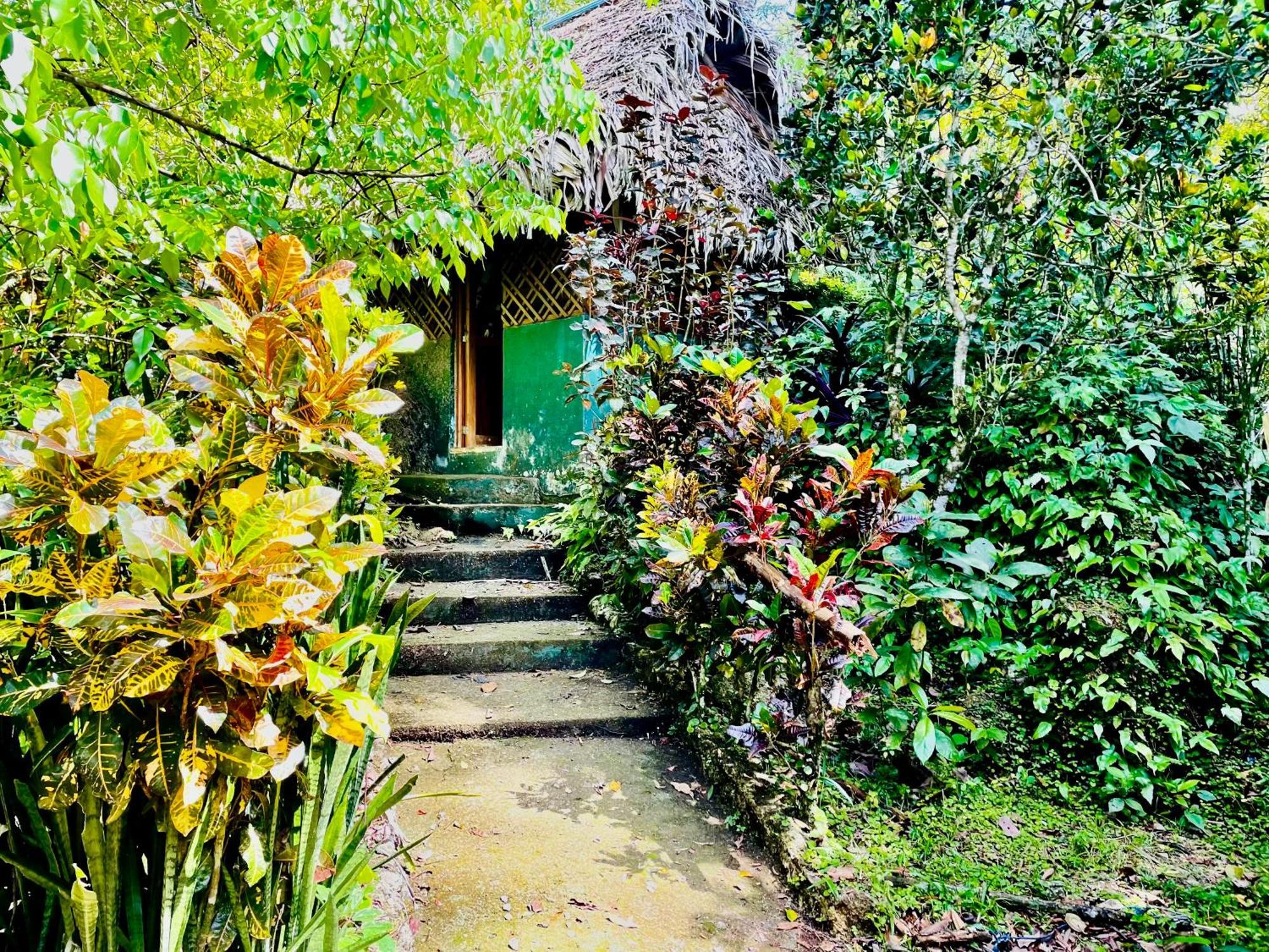 Palmeras Del Rio Hotel La Vina Extérieur photo