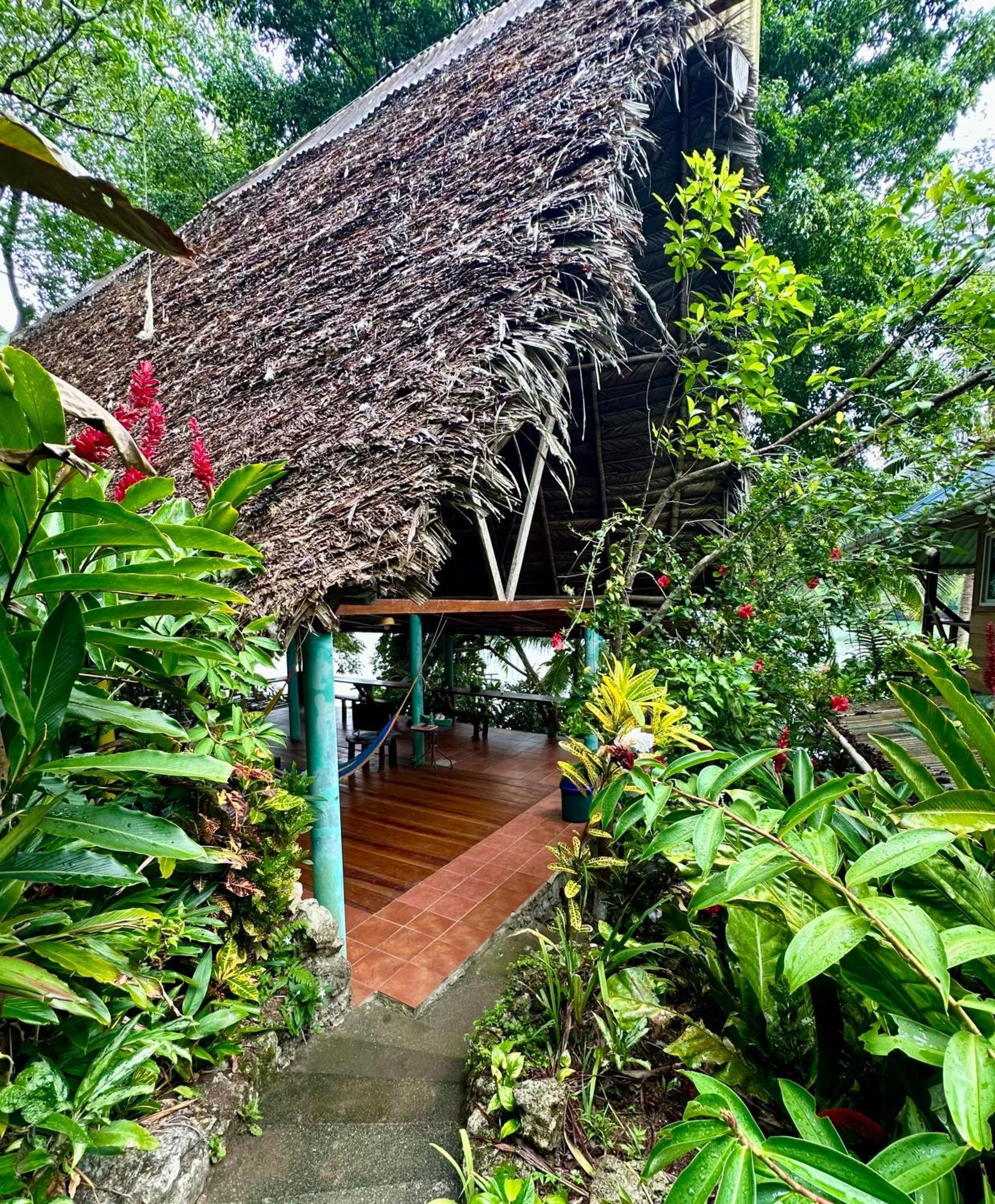 Palmeras Del Rio Hotel La Vina Extérieur photo