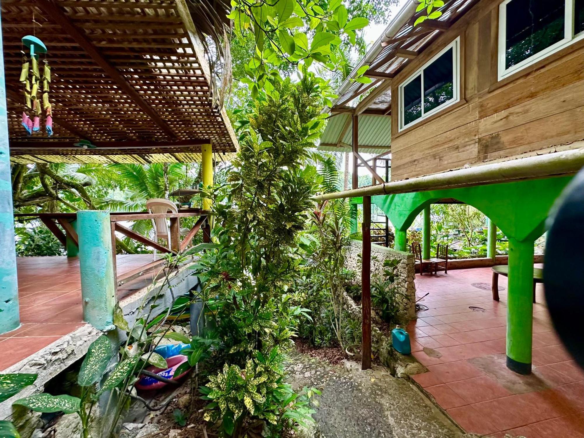 Palmeras Del Rio Hotel La Vina Extérieur photo