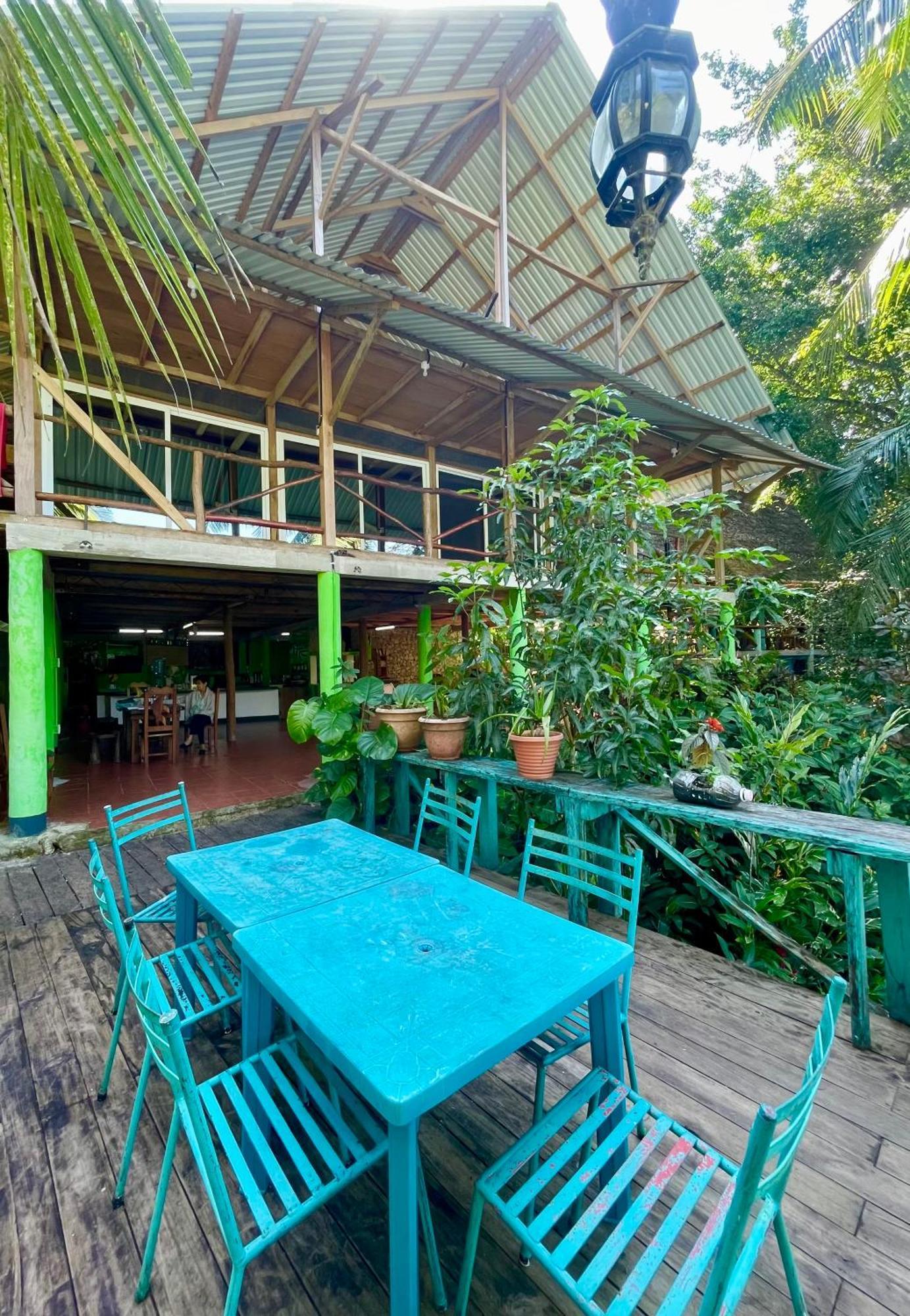 Palmeras Del Rio Hotel La Vina Extérieur photo